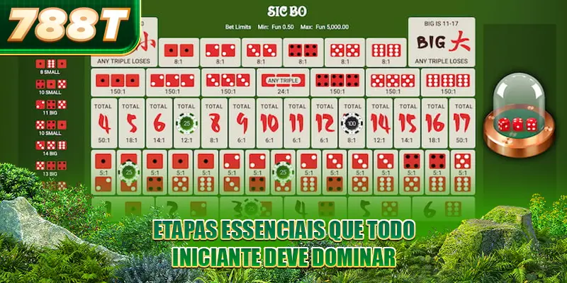 Etapas essenciais que todo iniciante deve dominar